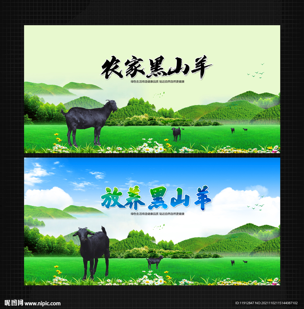 黑山羊