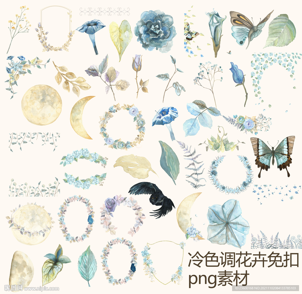 冷色调花卉
