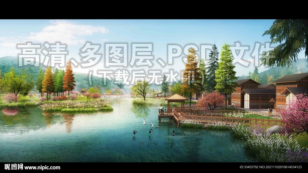 湿地水杉水生植物