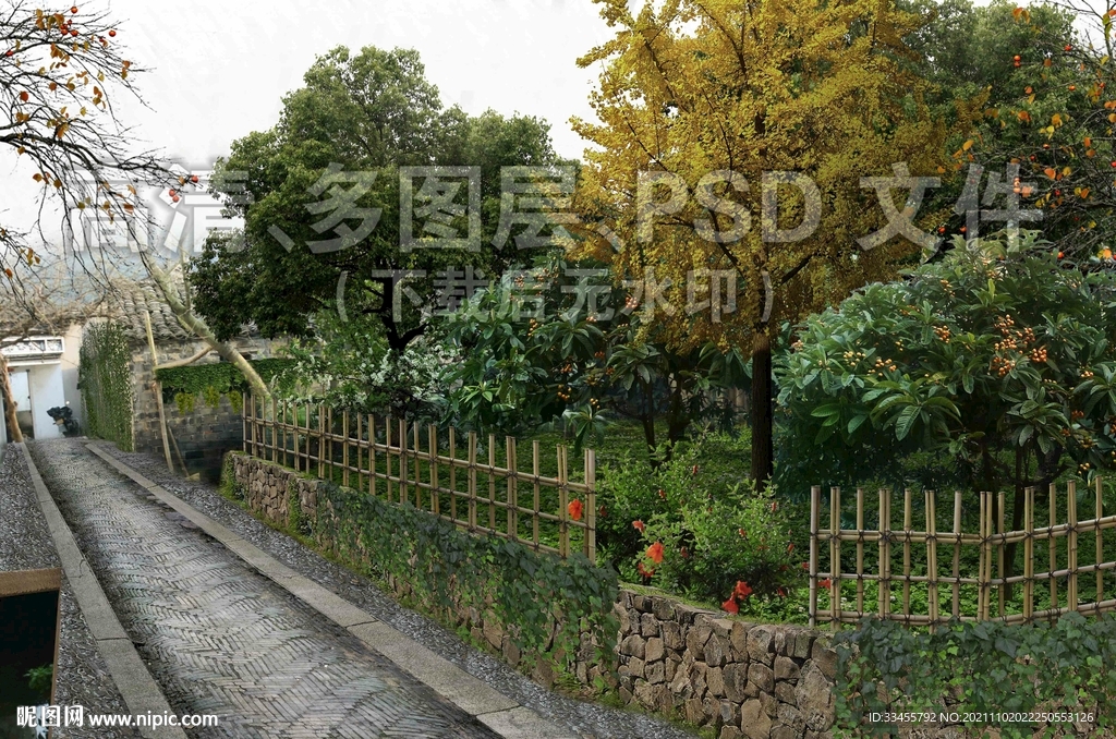 农村篱笆果树