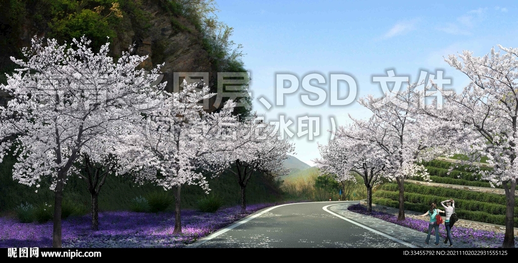 樱花林