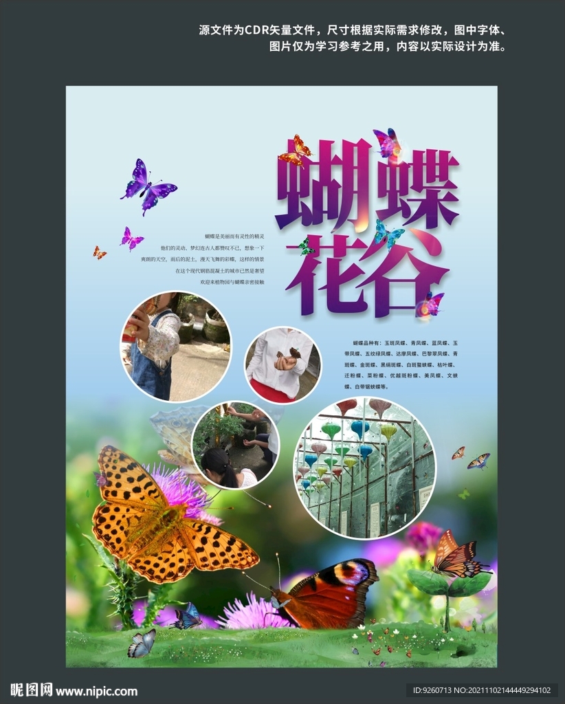 蝴蝶海报