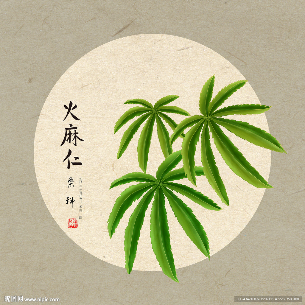 手绘火麻仁