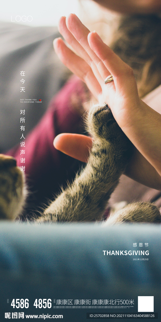 感恩节