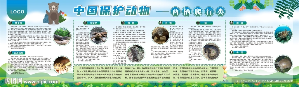 中国保护动物 