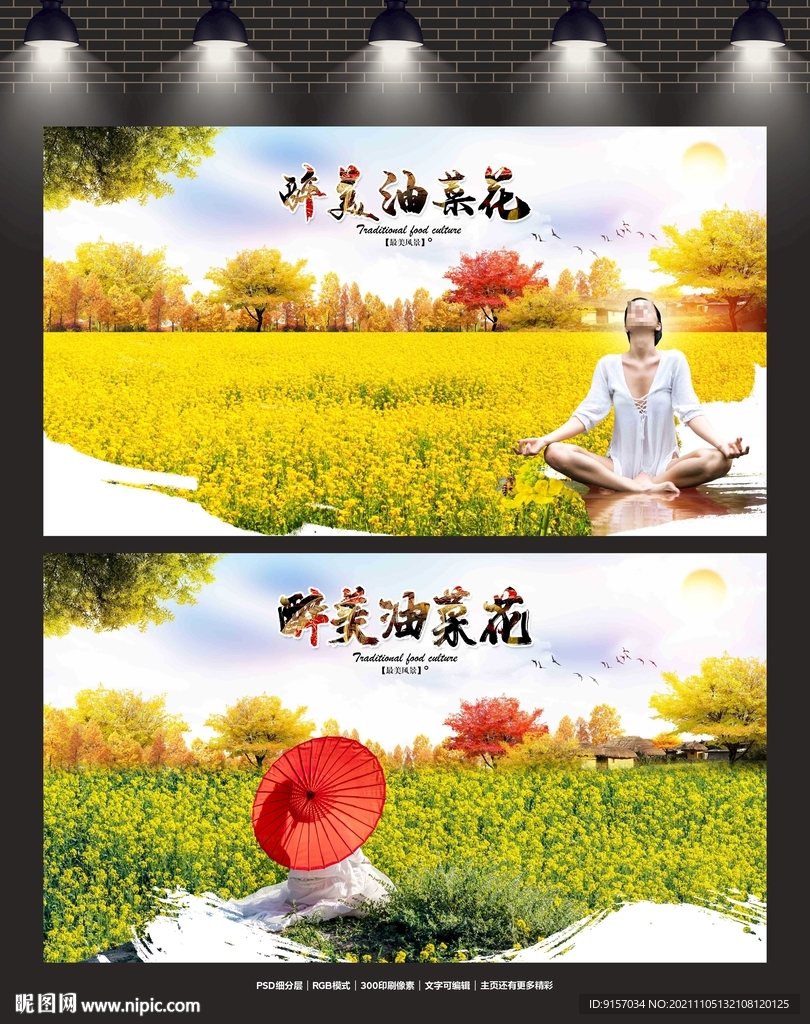 油菜花