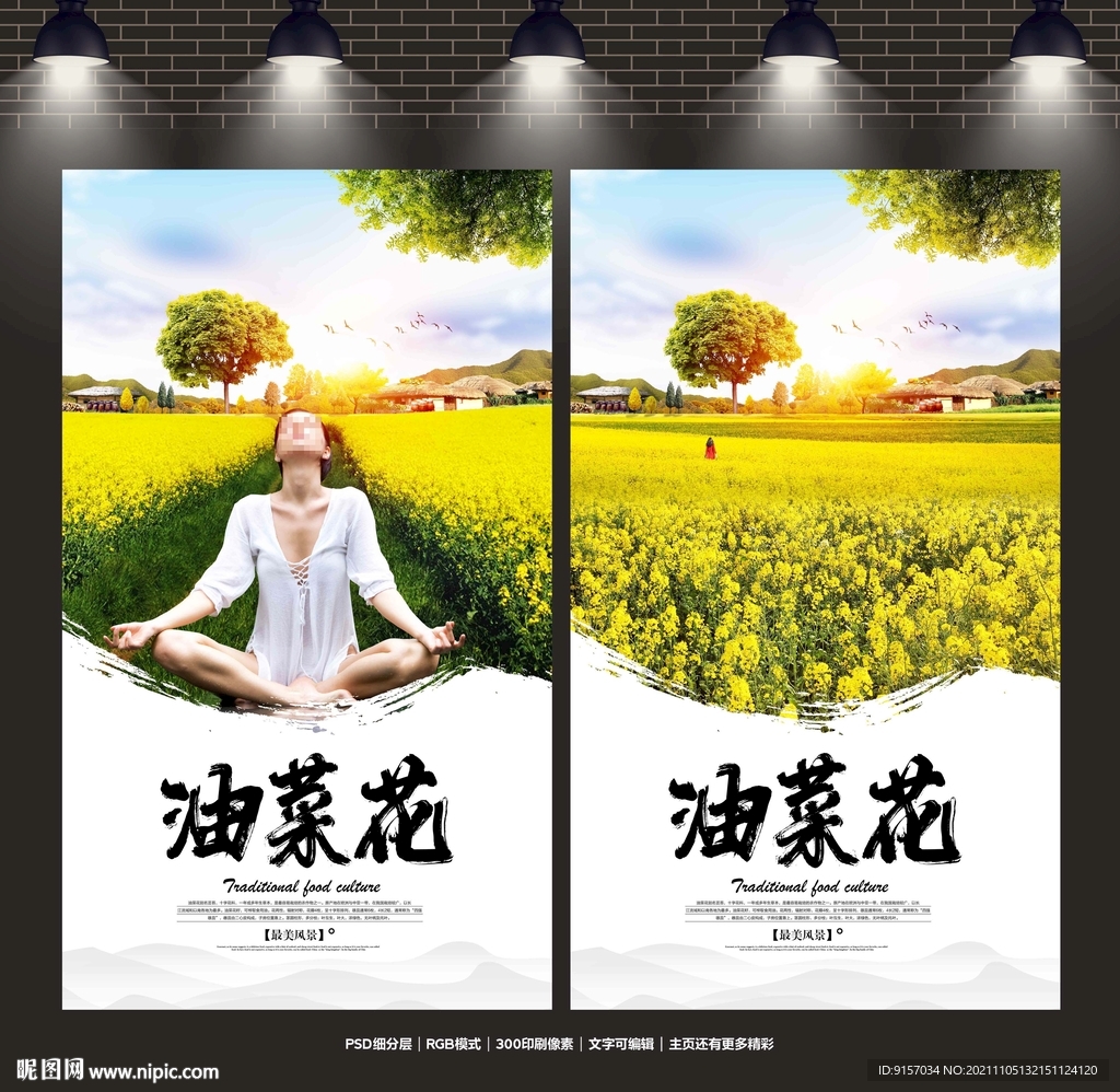 油菜花