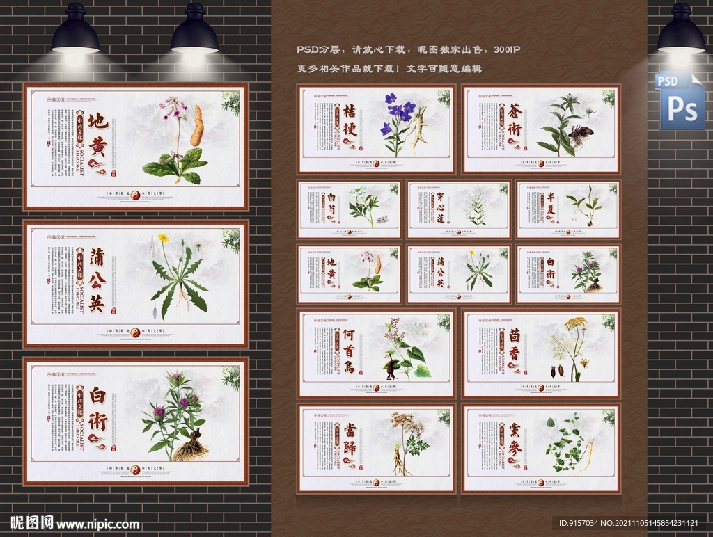 中草药海报