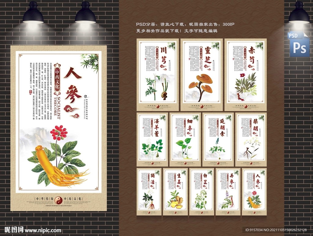 中草药海报