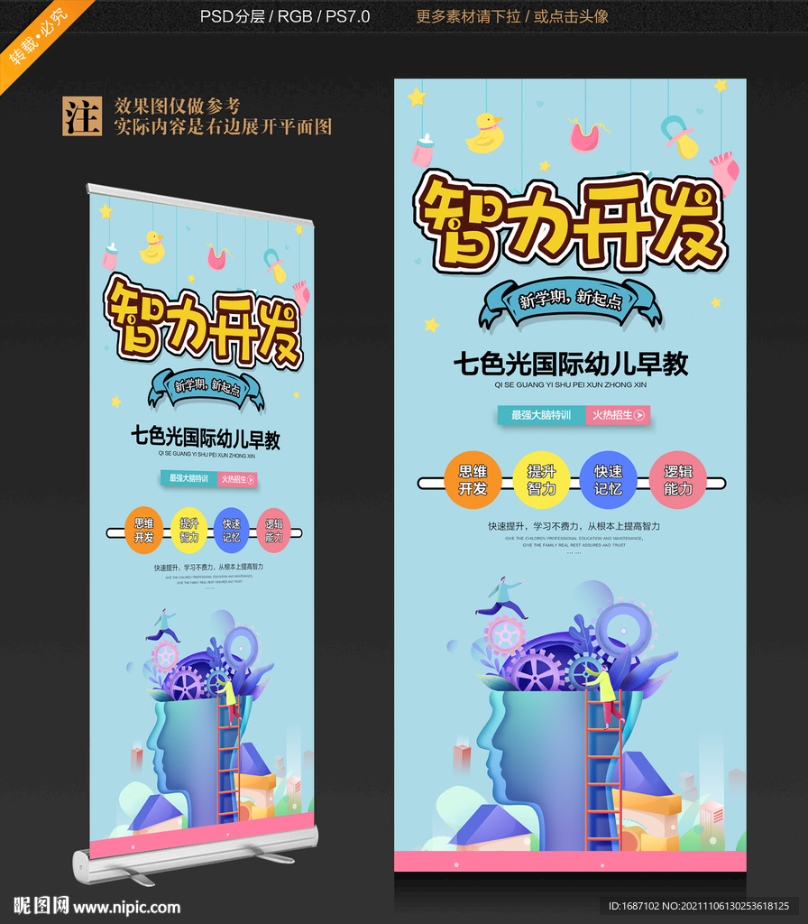 智力开发