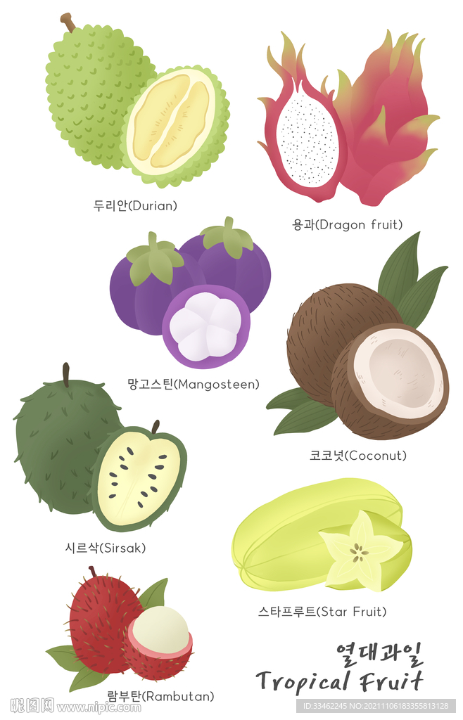 热带水果插画