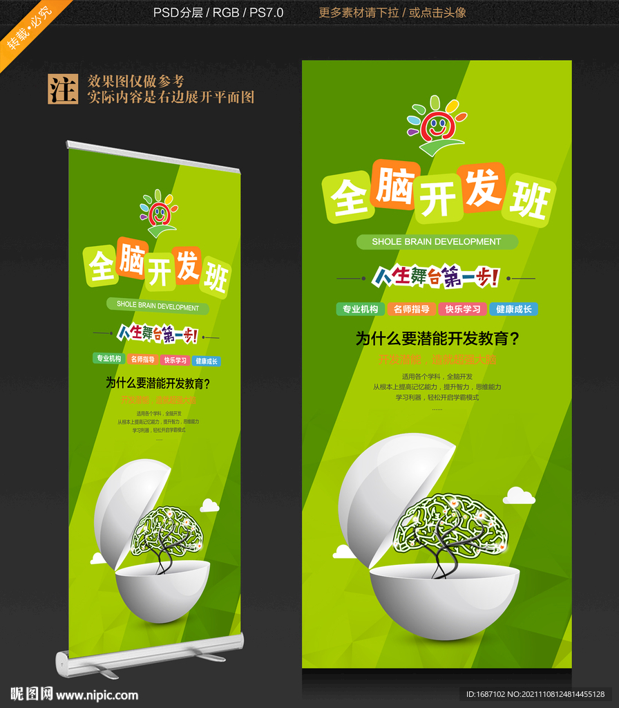 全脑开发