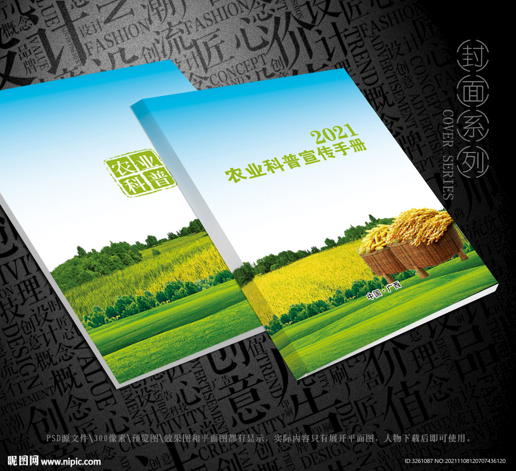 水稻封面