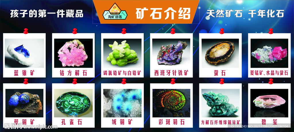 淘矿部落