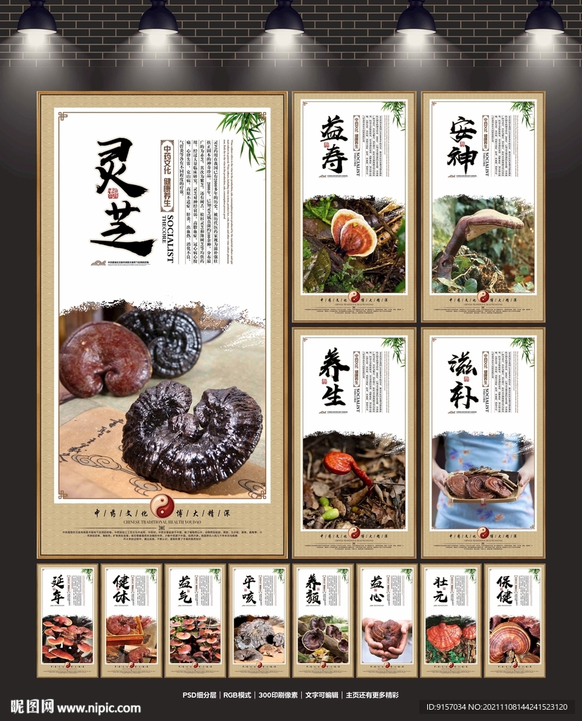 灵芝展板