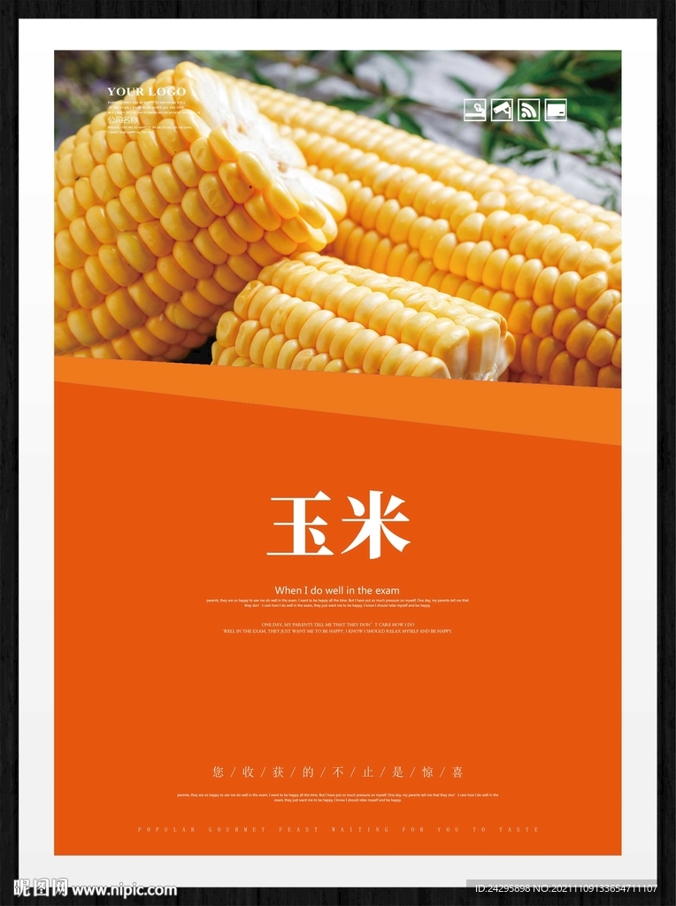 玉米