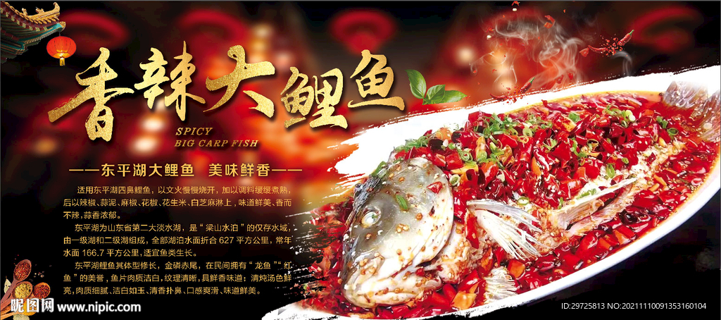 大鲤鱼
