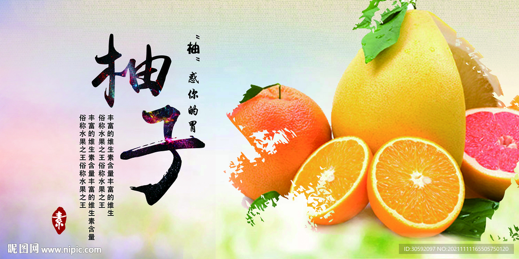 柚子 沙田柚