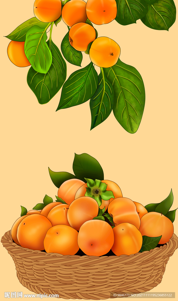 柿子手绘插画素材