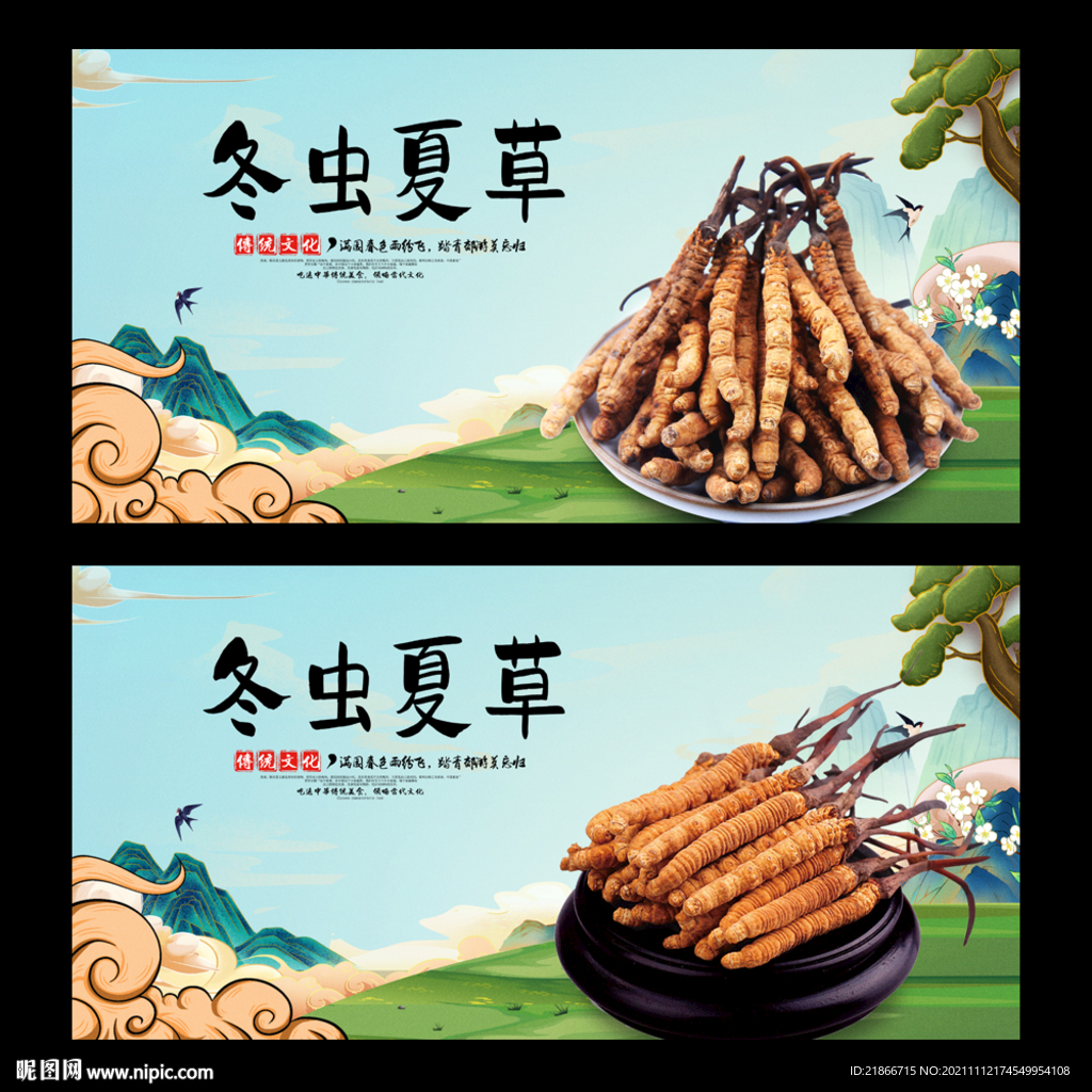 冬虫夏草