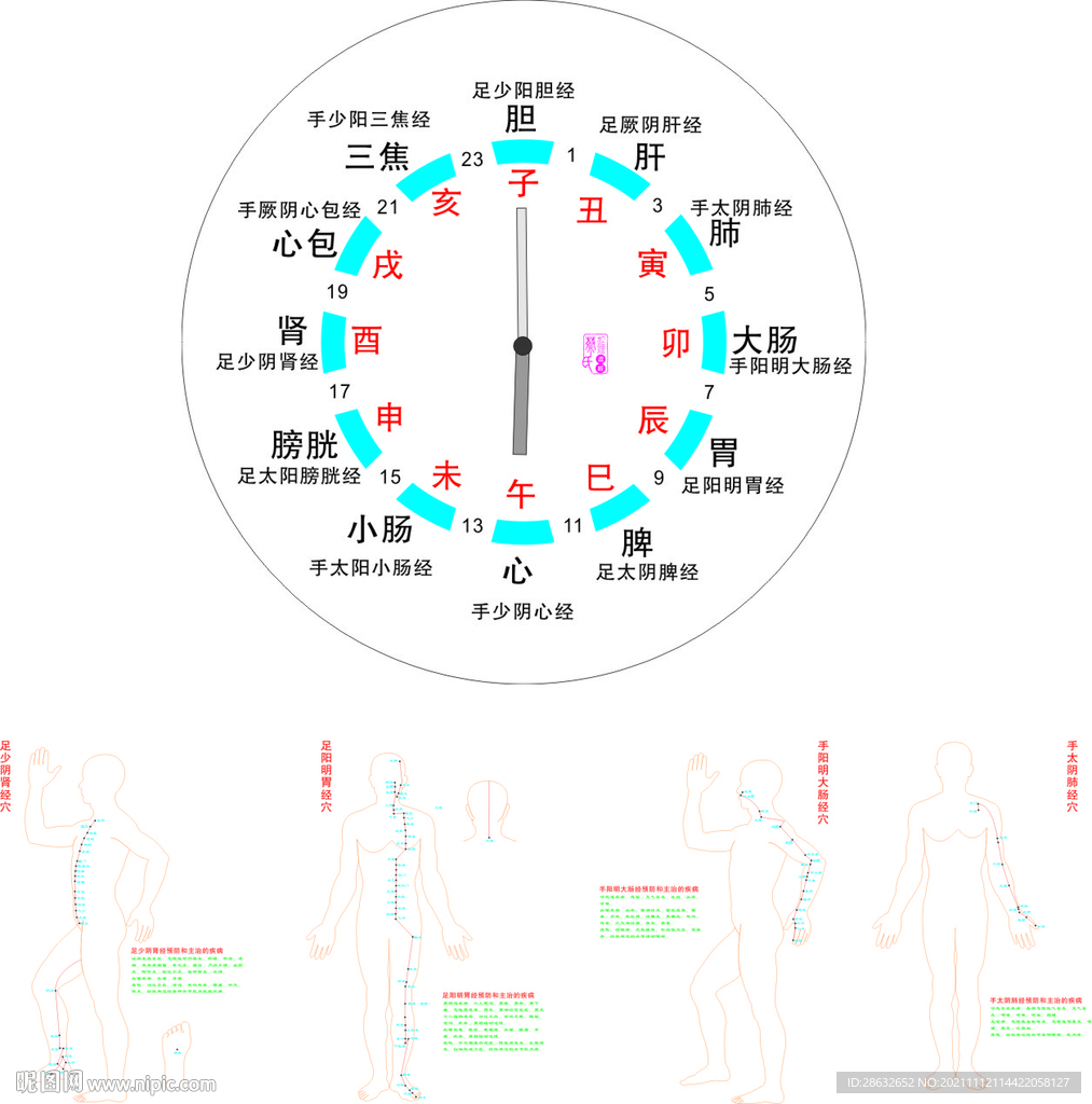 子午流柱与经络图