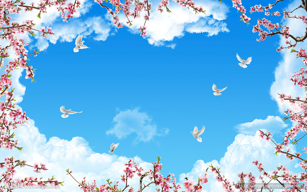 蓝天白云樱花鸽子