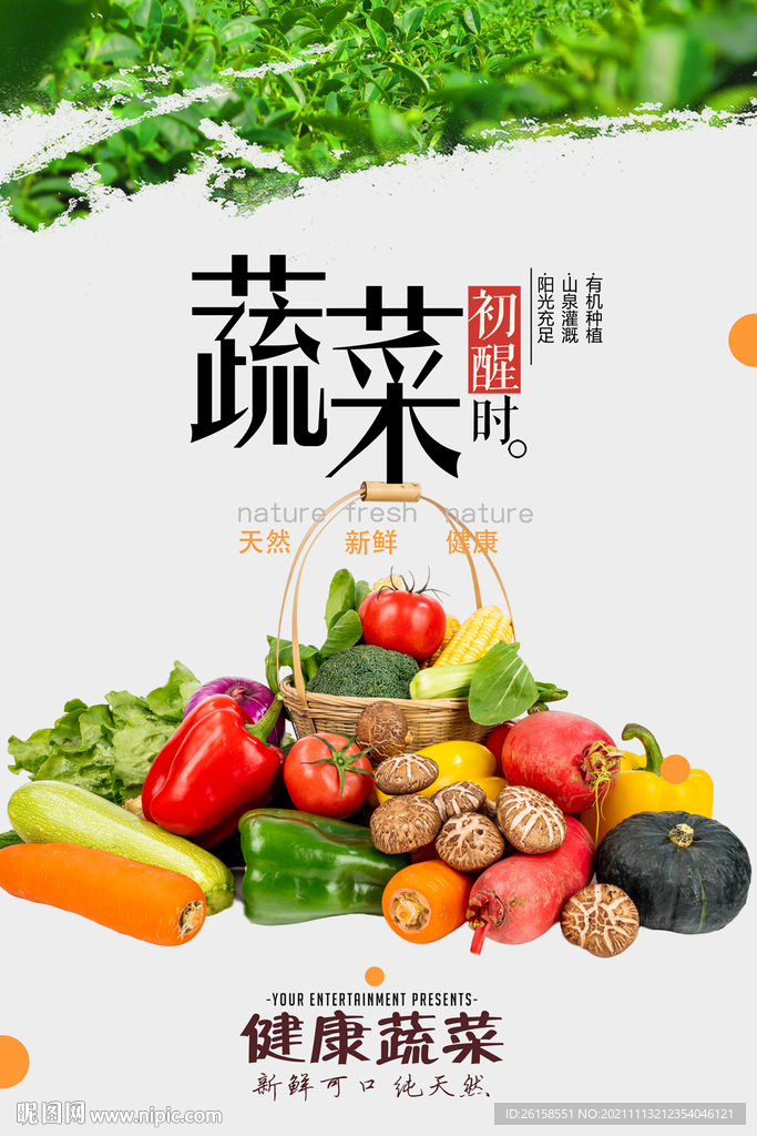 蔬菜