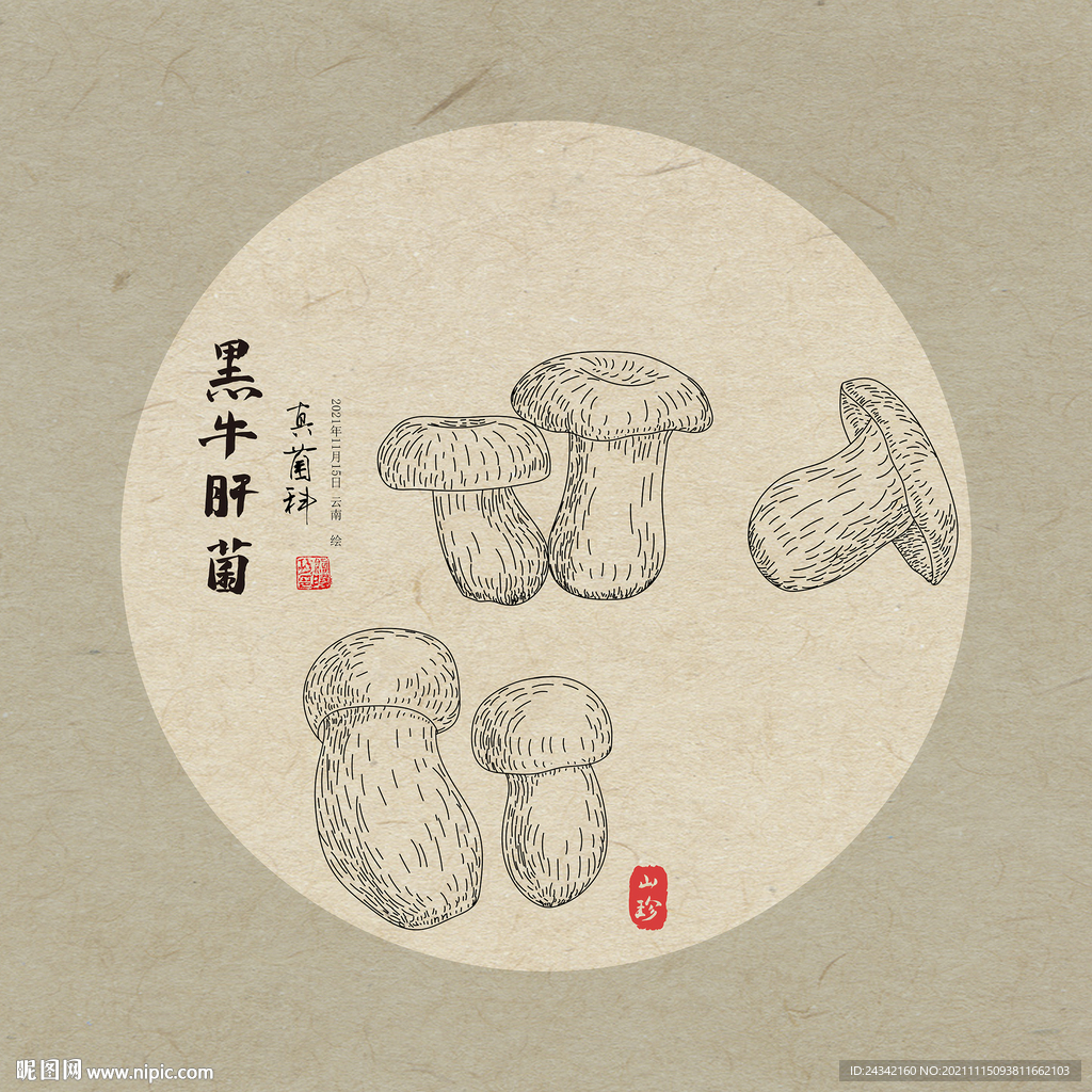 手绘牛肝菌
