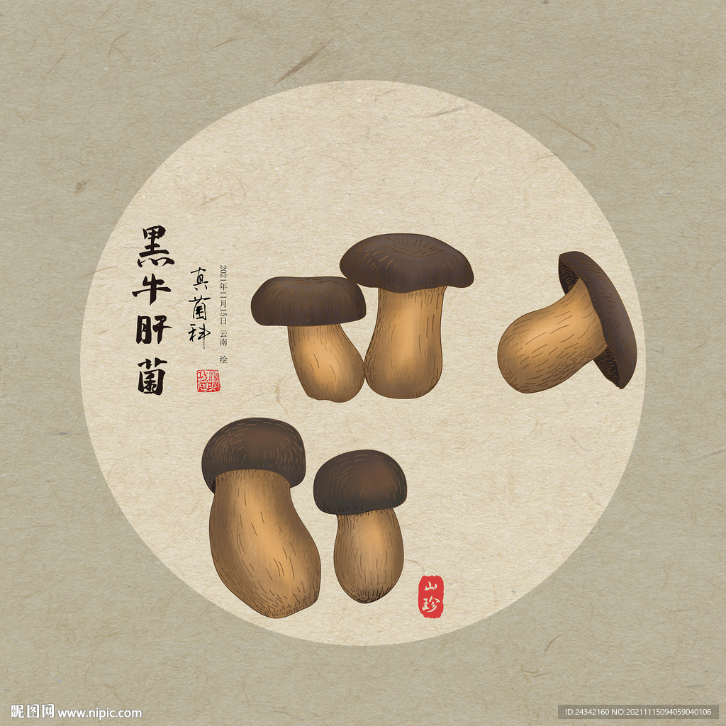 手绘黑牛肝菌