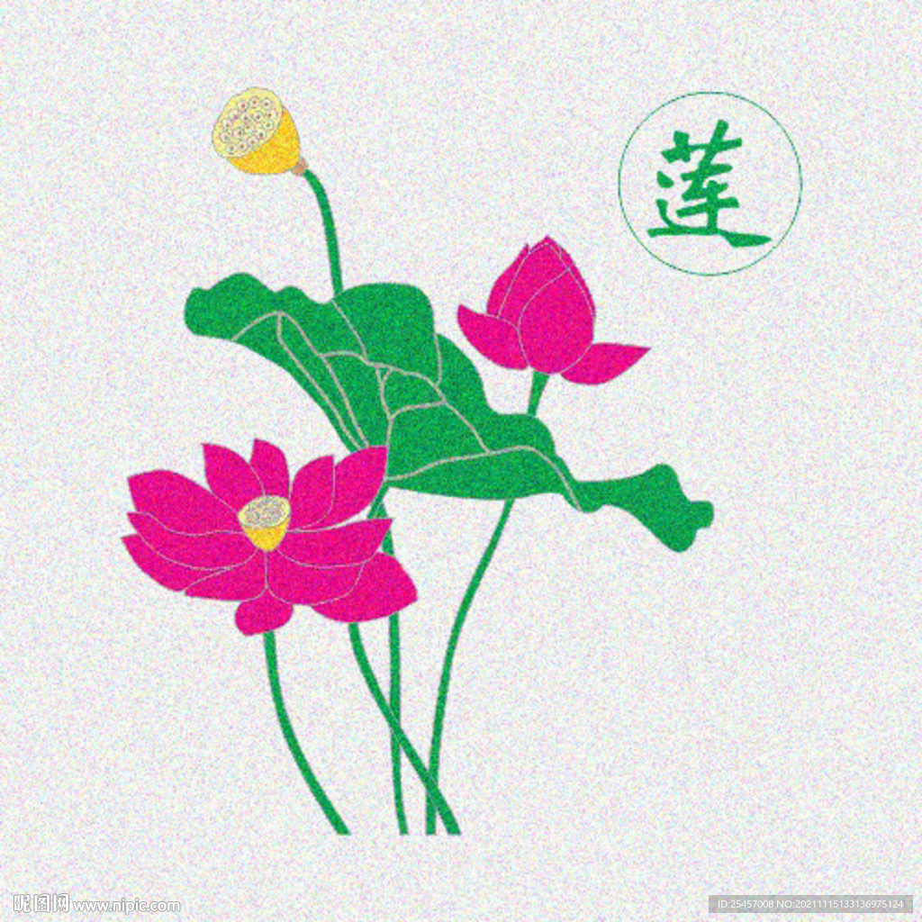 荷花 