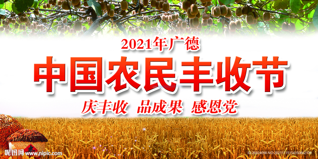 2021中国农民丰收节背景