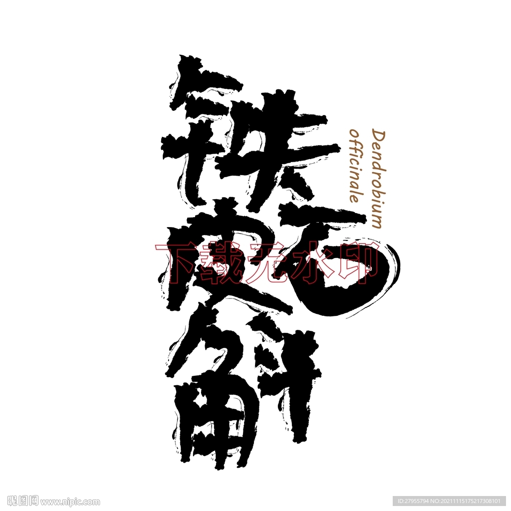 铁皮石斛