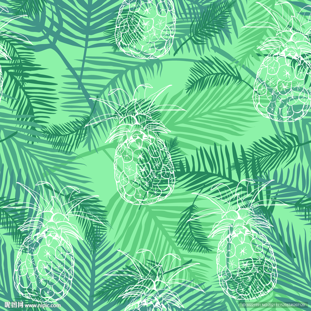 热带 植物 菠萝