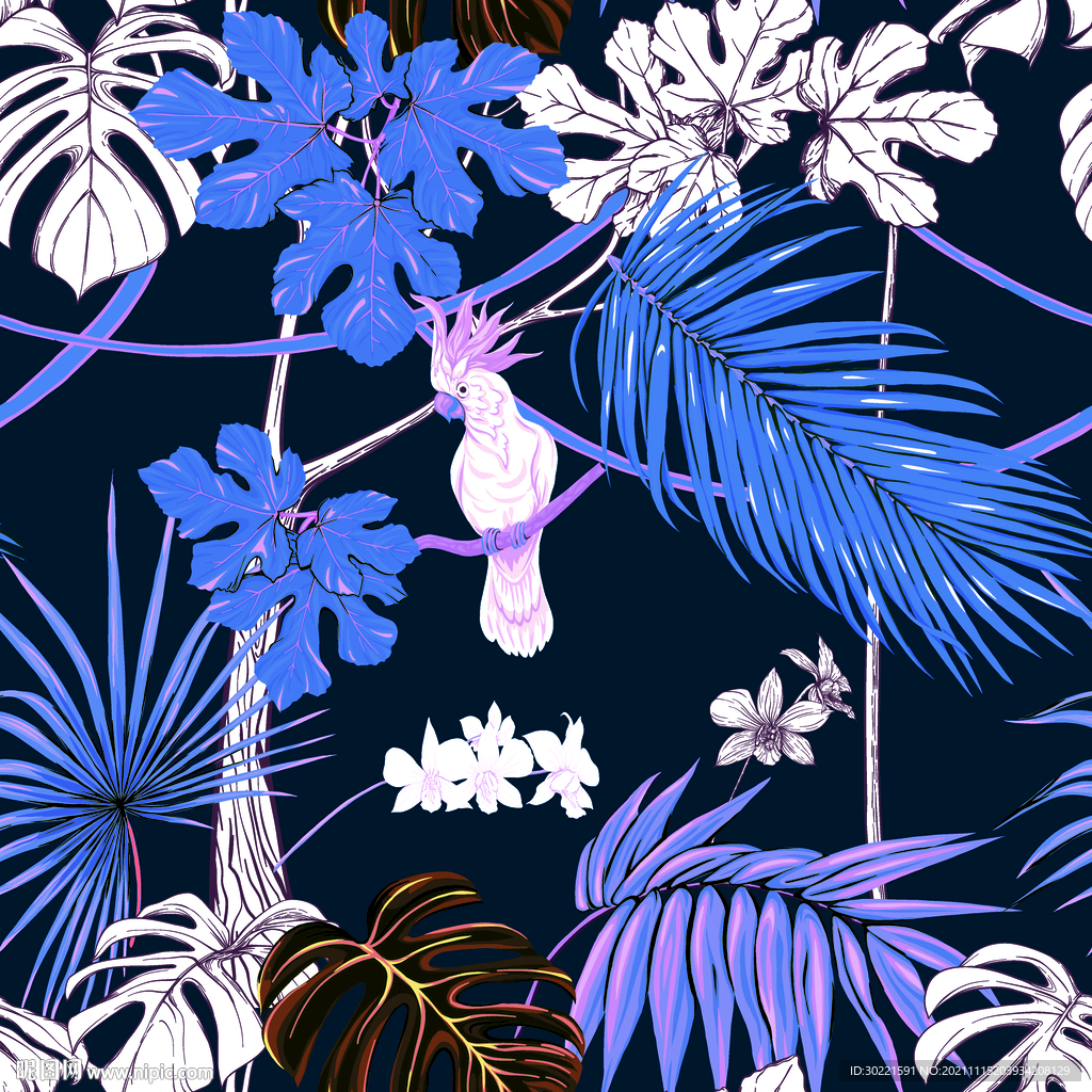 热带 植物 鹦鹉