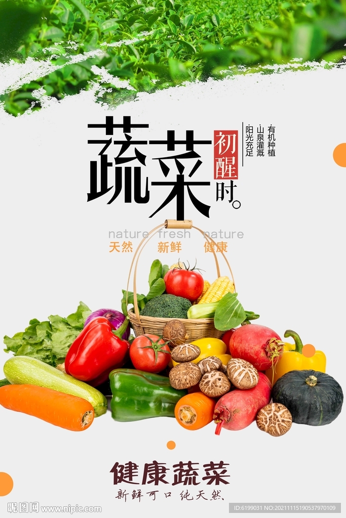 蔬菜海报