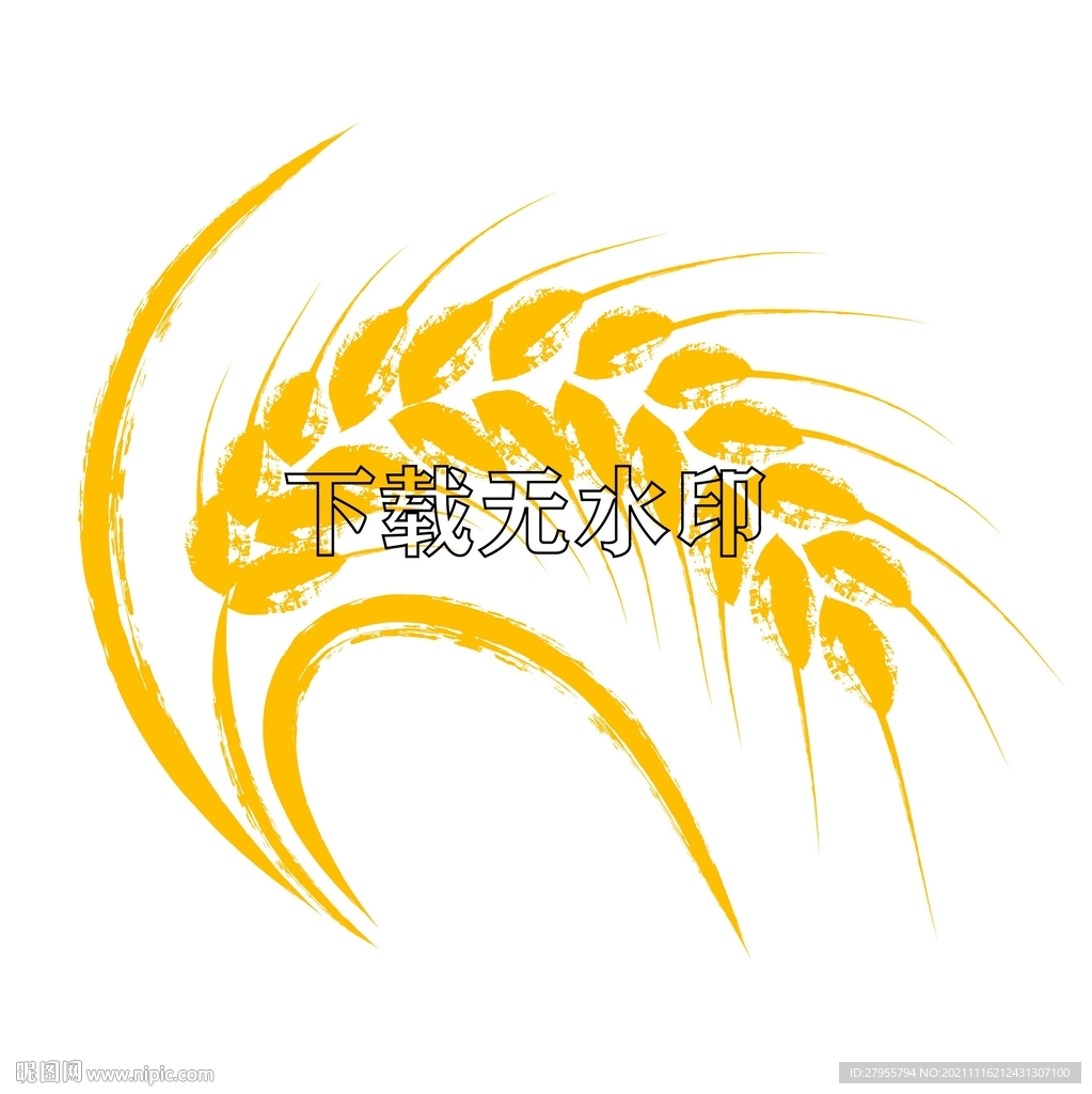 麦穗插画