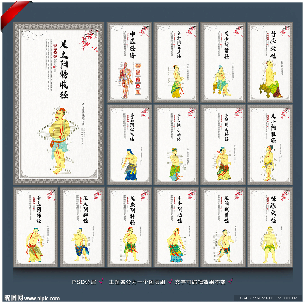 穴位图