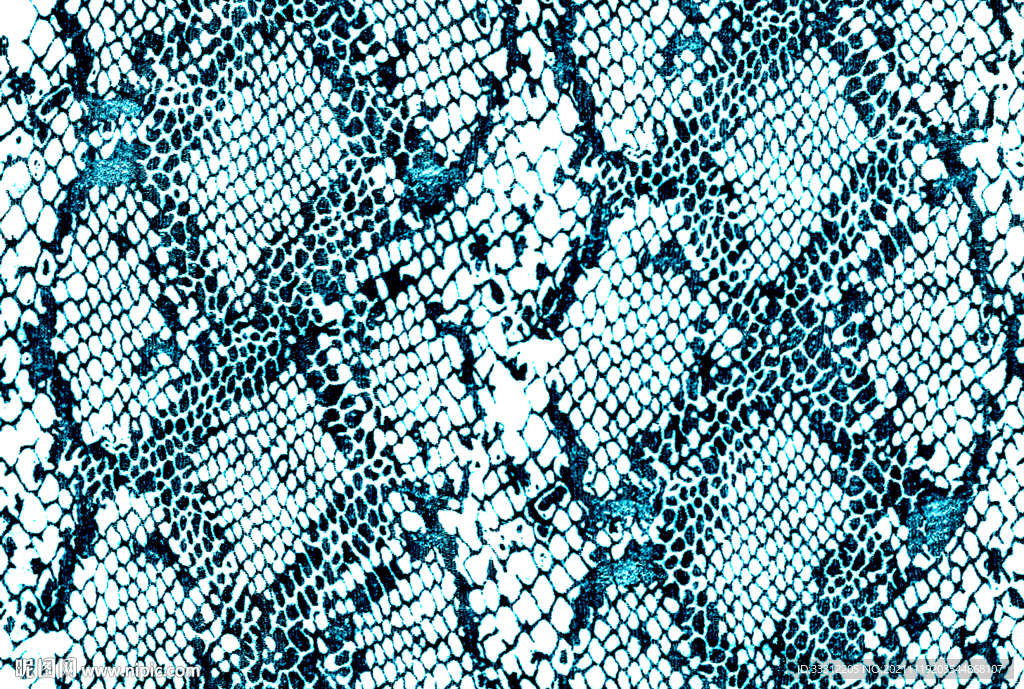  蛇纹 豹纹 斑马纹   大牌