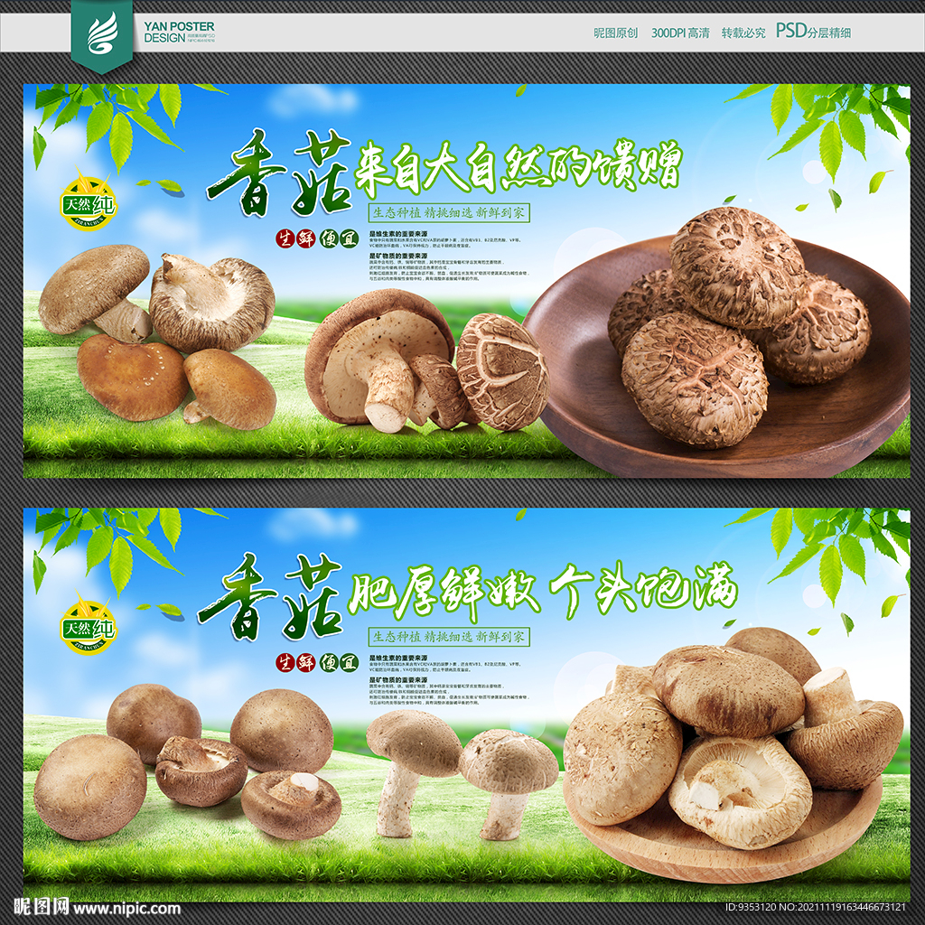 香菇