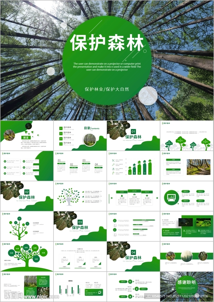 唯美湿地森林保护原始森林PPT