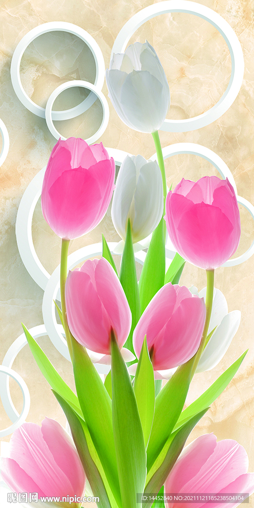 郁金香 玄关 圈圈 大理石