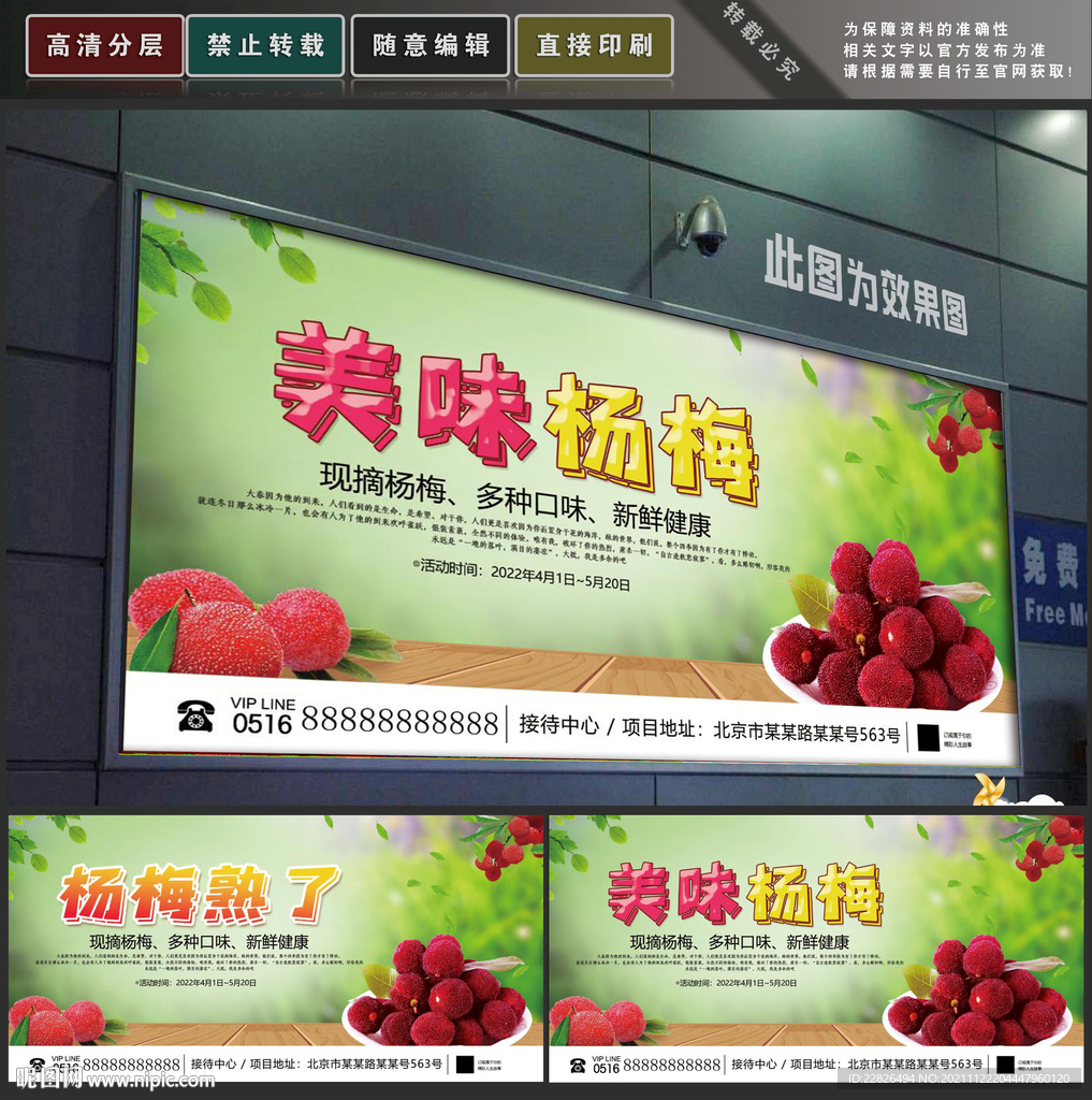 杨梅