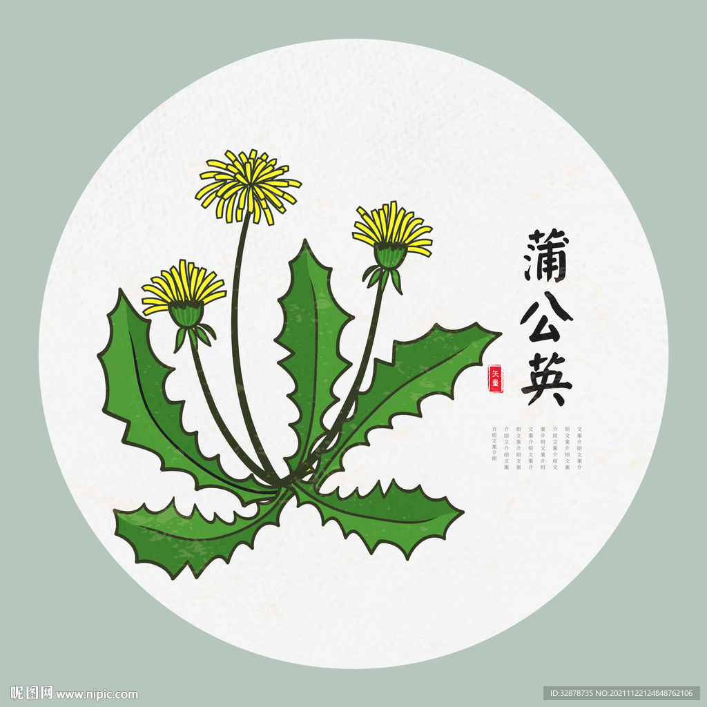 蒲公英手绘设计图__花草_生物世界_设计图库_昵图网nipic.com