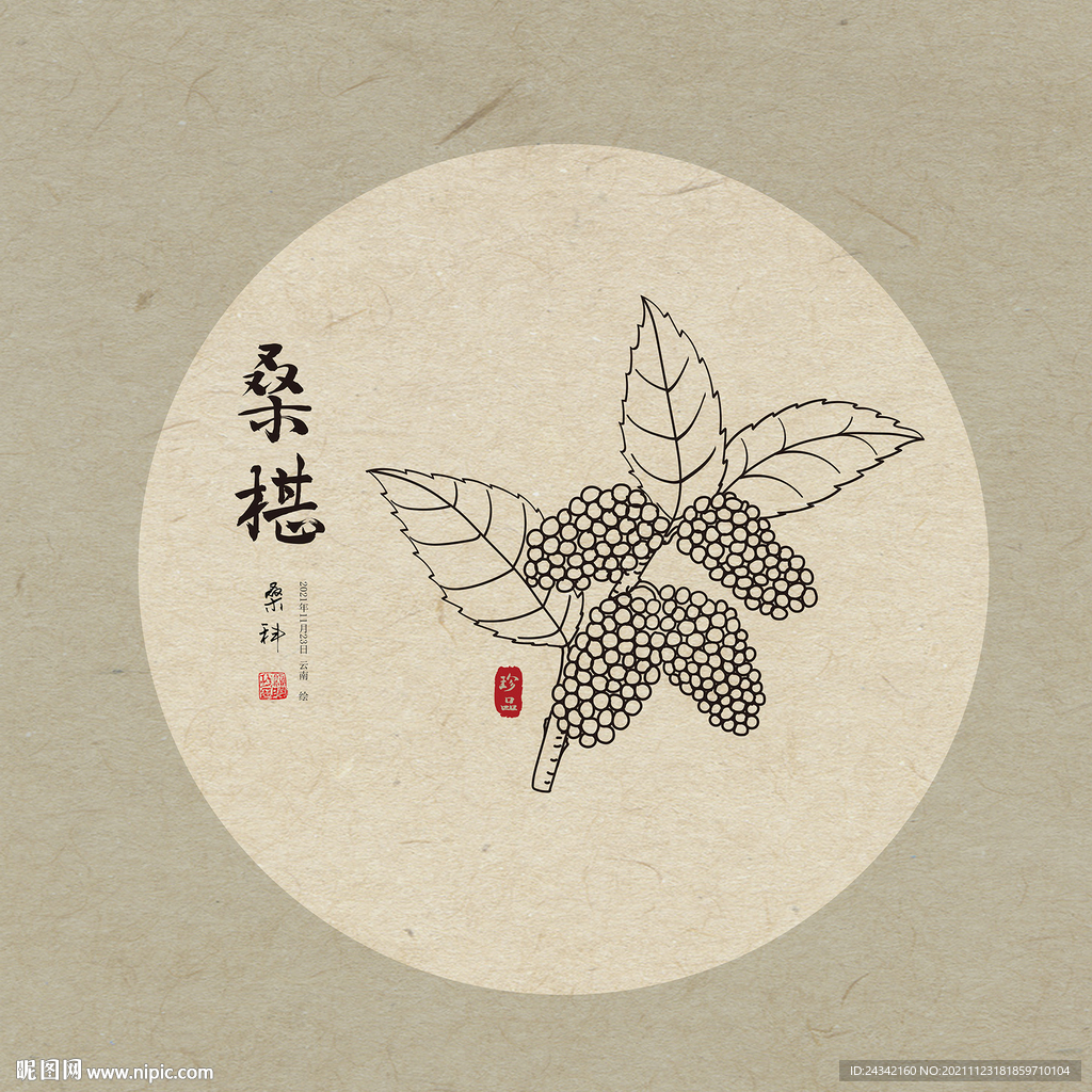 桑葚