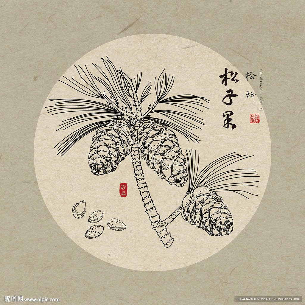 松果 松子