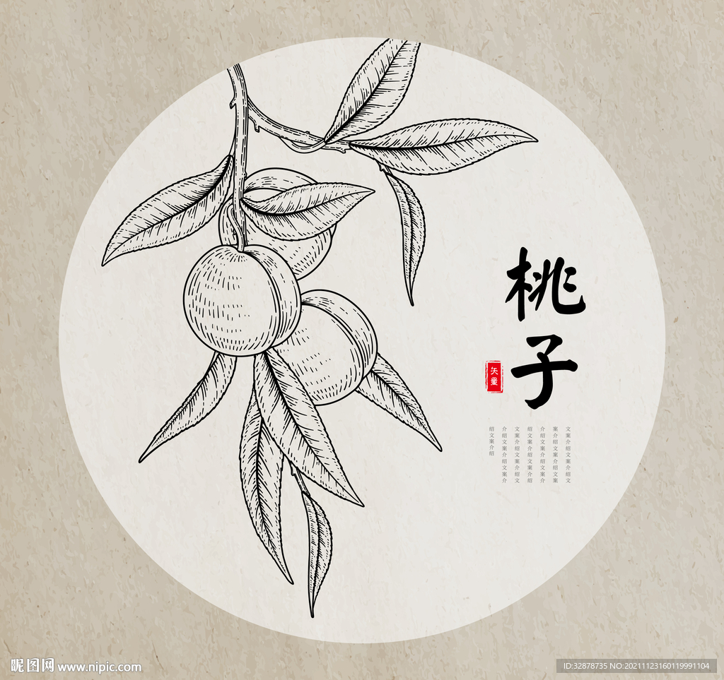 桃子手绘素描线稿设计图__水果_生物世界_设计图库_昵图网nipic.com