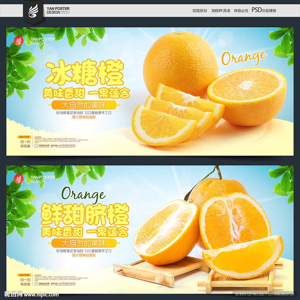 冰糖橙