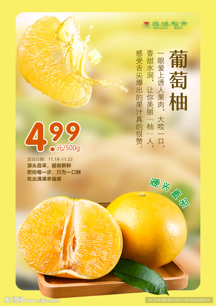 葡萄柚海报