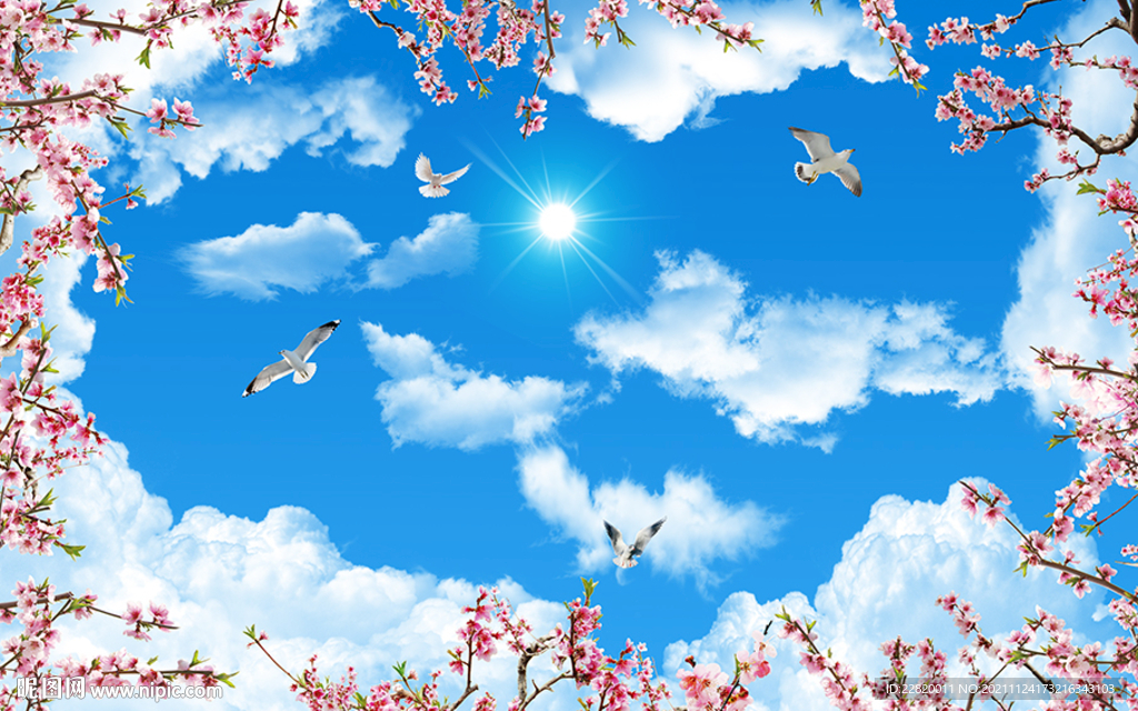 蓝天白云樱花