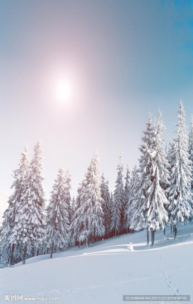 山顶积雪风景玄关画